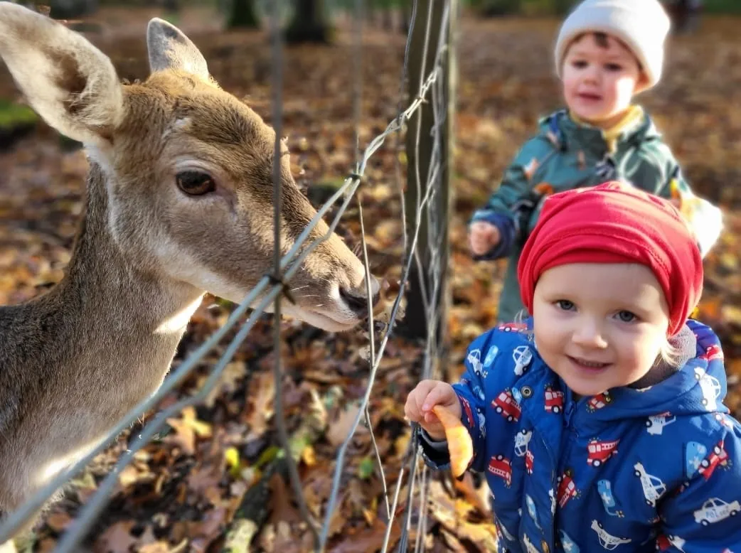 Lastenrad mit Kindersitzen für Ausflüge in den Wald